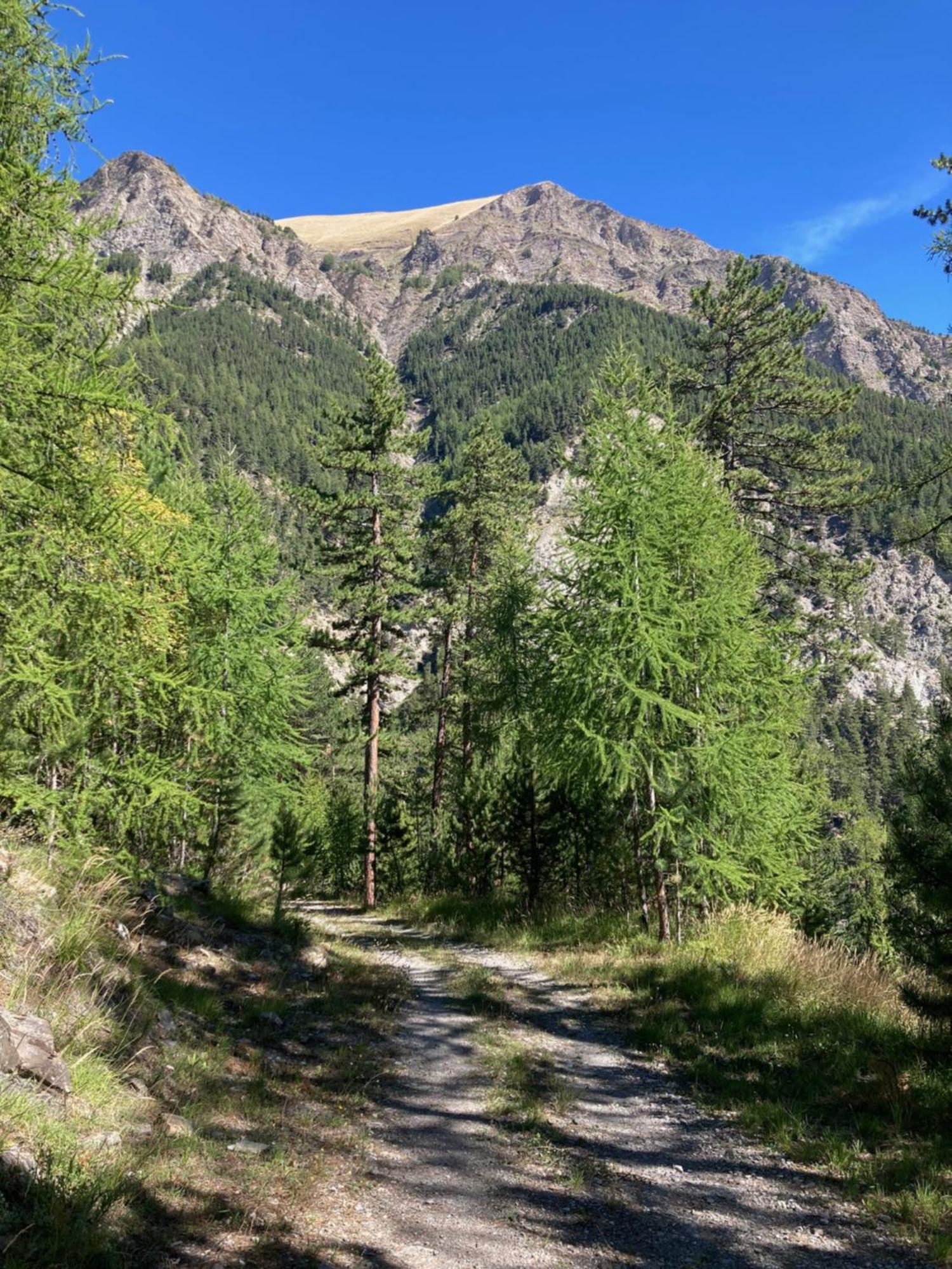 Les Melezes 1 Studio Barcelonnette Εξωτερικό φωτογραφία